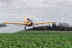 spray-potatoe-3