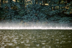 Fish-on-water-cool